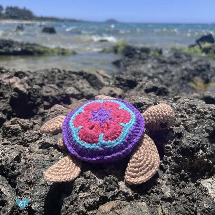Sea Turtle Amigurumi - Free Crochet Pattern